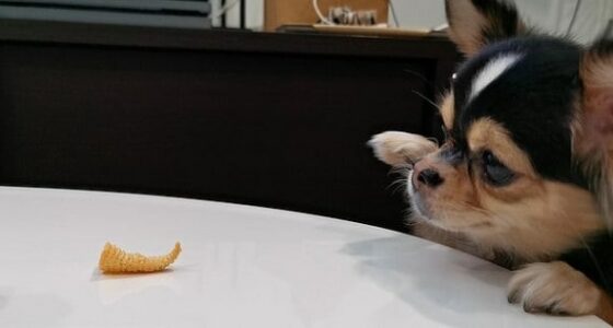 489BBC8A00000578 0 image a 1 1516988021640 5