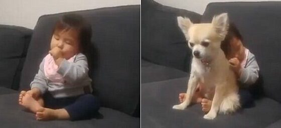 489BBC8A00000578 0 image a 1 1516988021640 e1663324440701