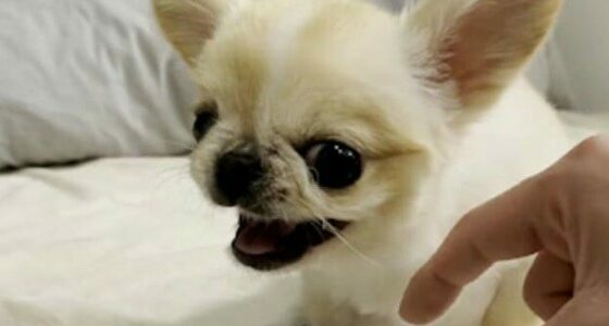 Screenshot 1 10 e1663664799974