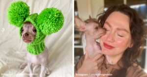 Read more about the article Meet Cricket, The Most Adorable ‘Gremlin’ On Instagram