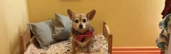 Screenshot 4 4 e1663240163979