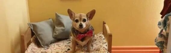 Screenshot 4 4 e1663240163979