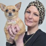 ‘My chihuahua saved my life’ -woman thanks dog for alerting her to ovarian cancer