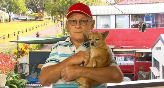 d1b44d35b0a53a8fb138f1845e120f7b9a5037e1