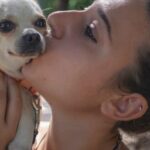 Do Chihuahuas like kisses?