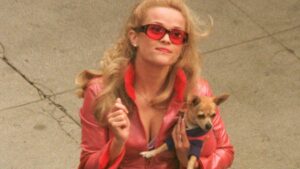 Read more about the article RIP Bruiser: Reese Witherspoon’s Legally Blonde Chi has died