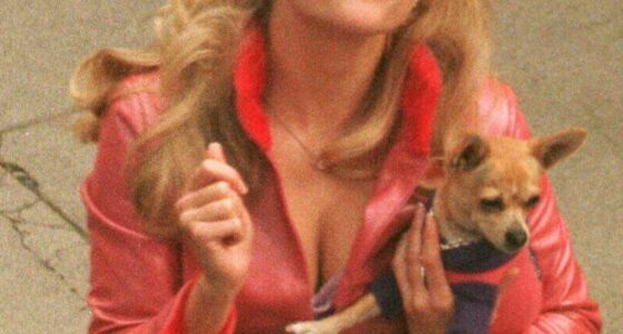 160311172814 bruiser legally blond bruiser e1666016807189