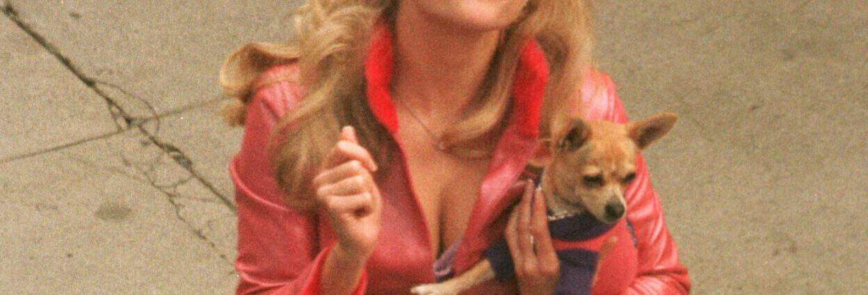 160311172814 bruiser legally blond bruiser e1666016807189