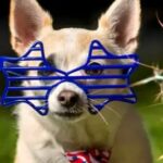 A Few Ways to Keep your Chi Calm During Fireworks