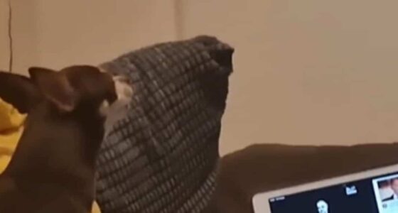 bbf982c286c578fdd8a3cecb86bd5aef 3