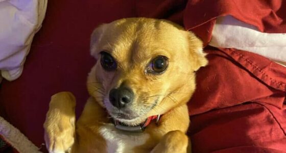 image 21 4 768x1024 1 e1666265986951