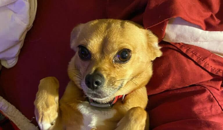 image 21 4 768x1024 1 e1666265986951