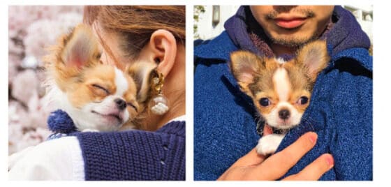 image 22 3 e1668001874800