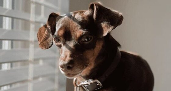 image 4 21 1 e1667922657977