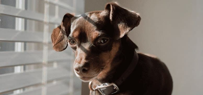 image 4 21 1 e1667922657977