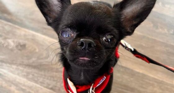 314470300 1350908929010345 920993902451160390 n