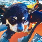 Nikki and Chi Rescued After Being Stranded at Sea