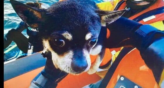 1 ELR MGA 011122 LIFEBOAT 02