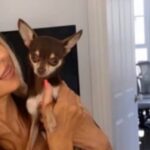 Grieving Woman Warns of Chihuahua Baiting