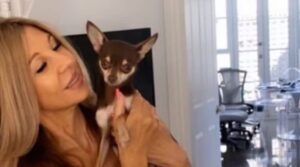 Read more about the article Grieving Woman Warns of Chihuahua Baiting