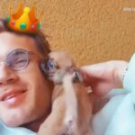 Who is PewDiePie’s Pup, Momo?