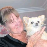 Chihuahua Grabbed by Bird of Prey in Aberdeen