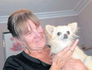 Read more about the article Chihuahua Grabbed by Bird of Prey in Aberdeen