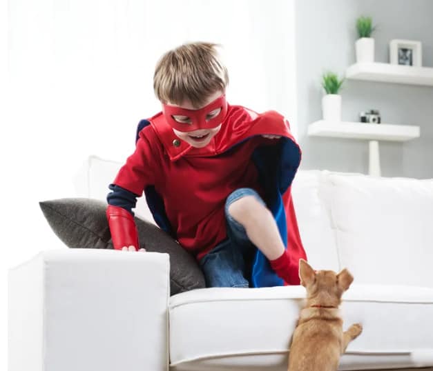 At What Age Do Chihuahuas Calm Down? 1 Screenshot 8 2