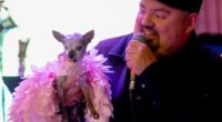 Gabriel Iglesias Spent 100k on his Chi's Party - Chihuacorner.com