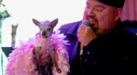 Gabriel Iglesias Spent 100k on his Chi's Party - Chihuacorner.com