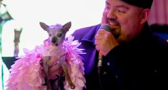 Gabriel Iglesias Spent 100k on his Chi's Party - Chihuacorner.com