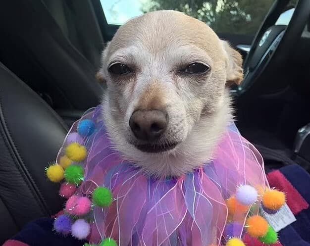 image 20 6 1 e1674832982160