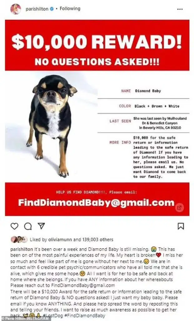 The 41-year-old has offered a reward of $10,000 (£9,200) for the return of her pet, who went missing last Wednesday, with 'no questions asked.'