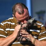 Chihuahua Swallowed By a Python Trap