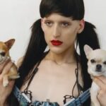 Arca: Kick I Featuring the Loveliest Chihuahua