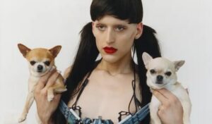 Read more about the article Arca: Kick I Featuring the Loveliest Chihuahua