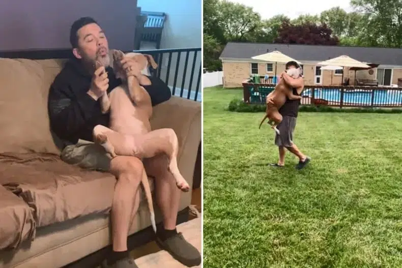Bobby, 47, can be seen blowing his dog's nails and carrying her like a baby.INSTA/ANNABELLE_AND_NORMAN