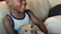 Little Boy is Scared of Dogs, but his Adoptive Family Has One 2 image 38 1