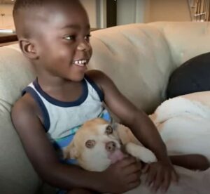 Read more about the article Little Boy is Scared of Dogs, but his Adoptive Family Has One