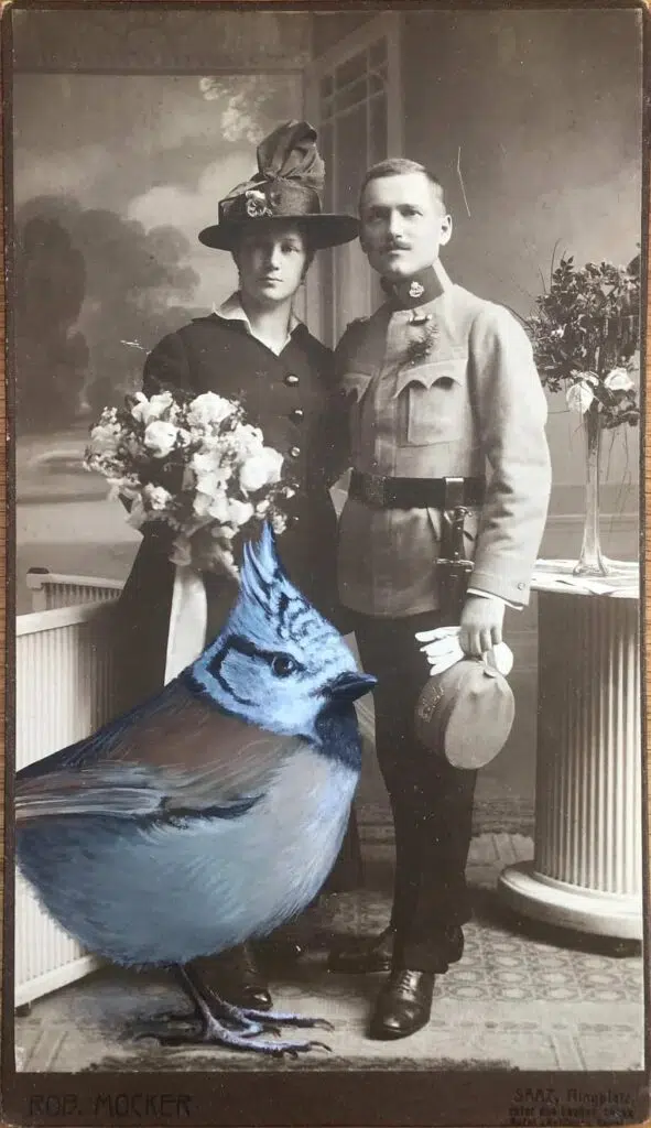 Haubenmeise (Crested Tit) Vintage Portraits