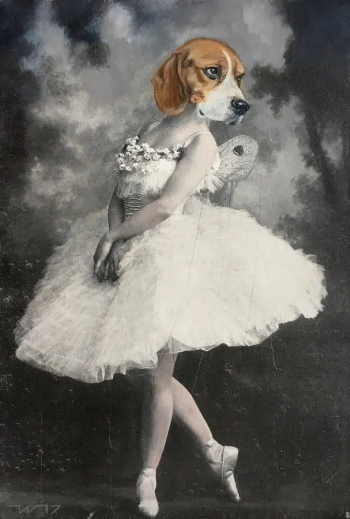 Beagle Ballerina Portrait