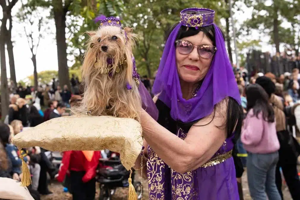 Tompkins Square Halloween dog parade, New York City, is back after two years.
