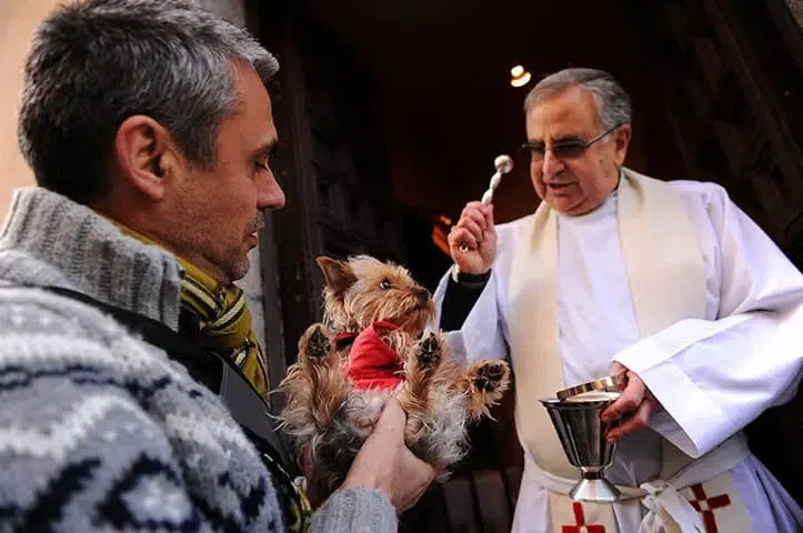 Father Juan Manuel Villar blesses a visiting dog with holy water at San Anton 