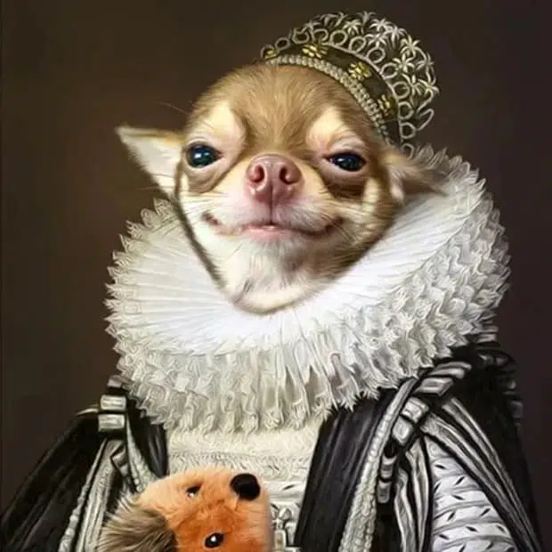 You too can get your pet portrayed with a ruff, robe, and stuffed toy. Photograph: Royal Pet Pawtrait