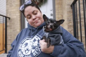 Read more about the article Woman Lost Thousands After Trying to Buy a Chihuahua Online