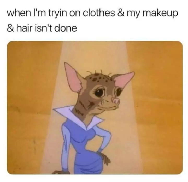 chihuahua meme makeup