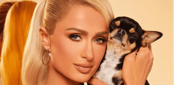 Paris Hilton lying to her Chihuahua