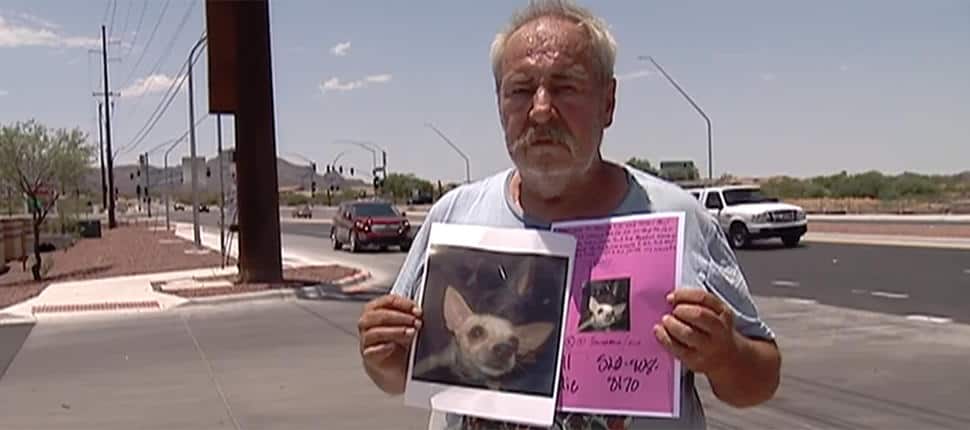 Read more about the article Man Offers Home to Whoever Find his Chi