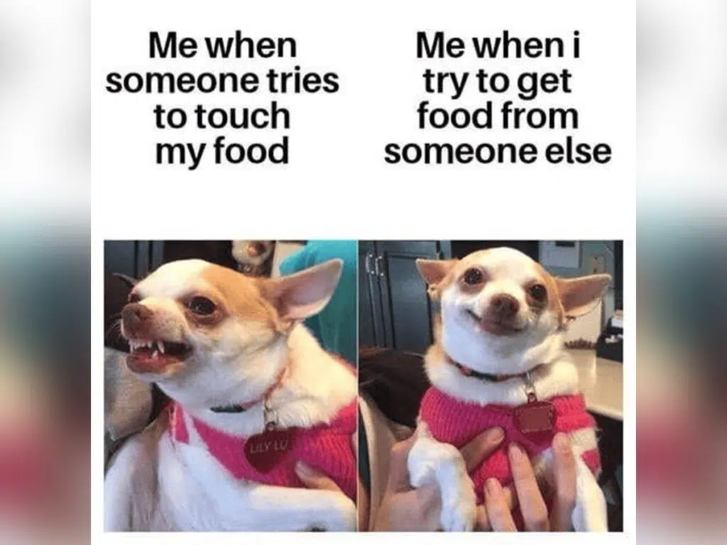 "Me when someone tries to touch my food vs me when I try to get food from someone else"