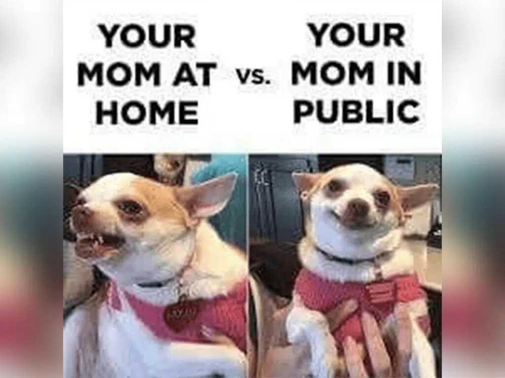 "Your mom at home vs your mom in public"